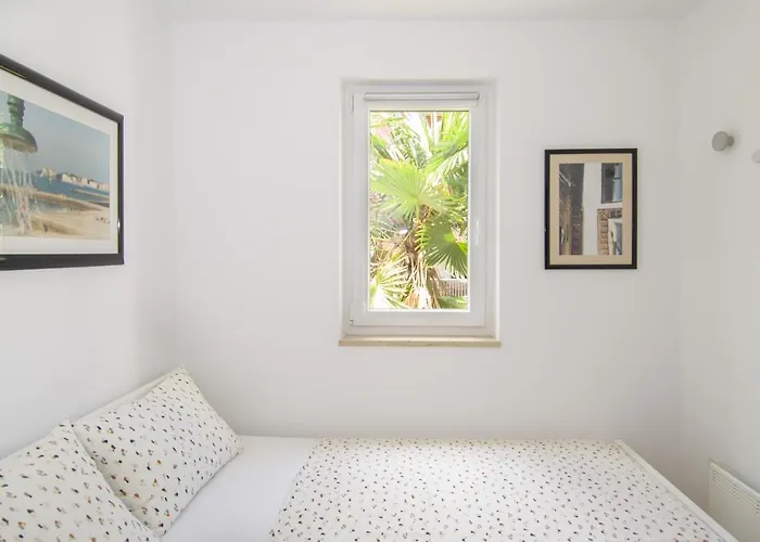 Solar Istra פורץ